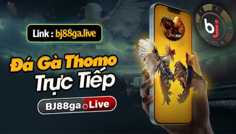 Bj88 Live - Đá Gà Thomo Một Trò Chơi Cá Cược Siêu Hấp Dẫn